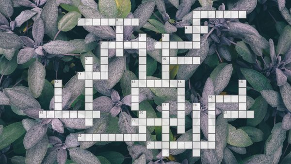 Crossword-Summer-2018-fit815-Magazine-FitMe-Wellness-Rockford-Gym