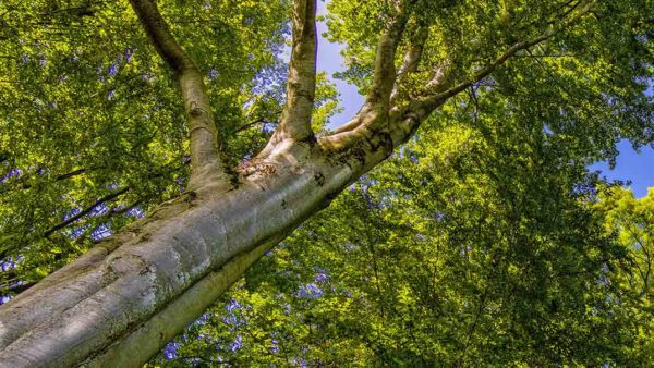 Great Gr8 Outdoors - Eight bodyweight exercises - fit815 Magazine - FitMe Wellness Rockford Health Club Gym